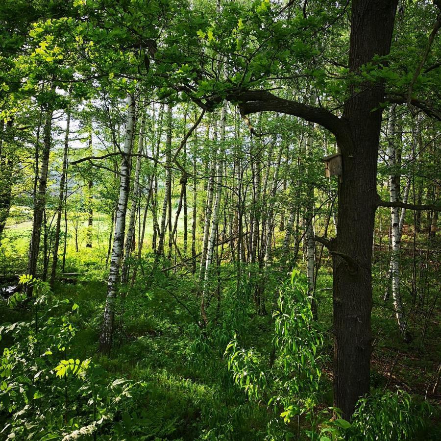 Ferienhof Plotzen Hochkirch Exteriör bild